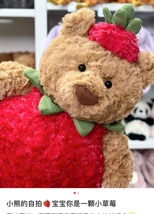 原单版本巴塞罗熊草莓装101908 商品图8