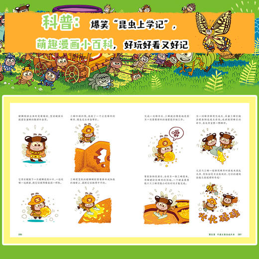 酷虫学校  注音版：礼盒装全24册 商品图3