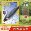 《博物》杂志 （7-15岁）自然科学科普百科读物 【悦刊图书】 商品缩略图9