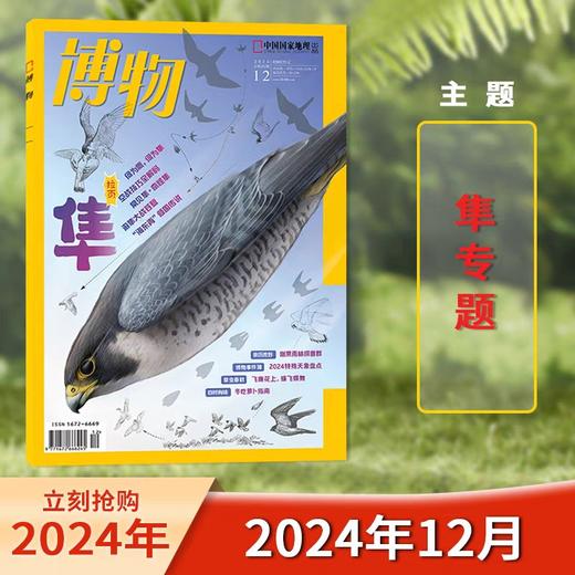 《博物》杂志 （7-15岁）自然科学科普百科读物 【悦刊图书】 商品图9