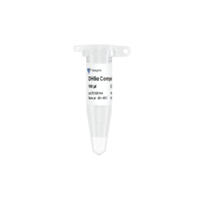 DH5α 化学感受态细胞