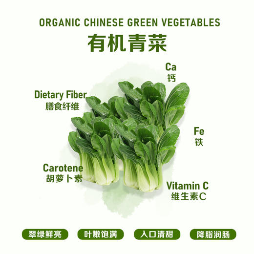 暖壹有机青菜 商品图1
