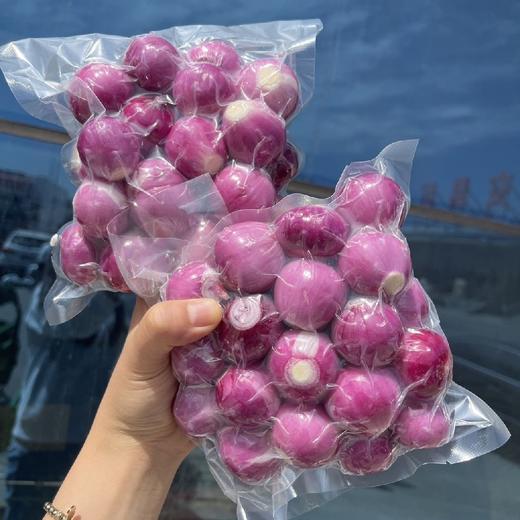 去皮真空小洋葱【400克/袋】~辛辣有甜头，“灵魂之葱”尝鲜。 商品图5