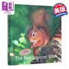 【中商原版】红松鼠之书 英文原版 The Red Squirrel Book Russ Jane 简 拉斯 科普读物 野生动物保护 精美摄影作品 商品缩略图0