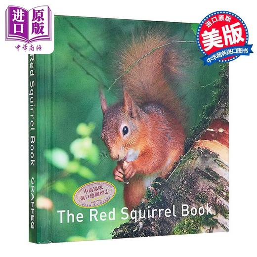 【中商原版】红松鼠之书 英文原版 The Red Squirrel Book Russ Jane 简 拉斯 科普读物 野生动物保护 精美摄影作品 商品图0