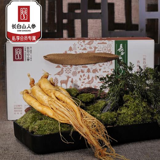 热销T【保鲜参礼盒】吉林特产人参新鲜人参150g8支装 商品图0