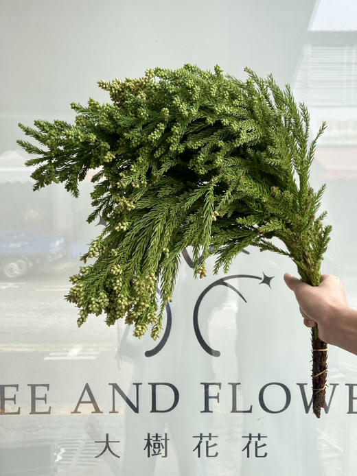 国产花材-【流沙果】 商品图1