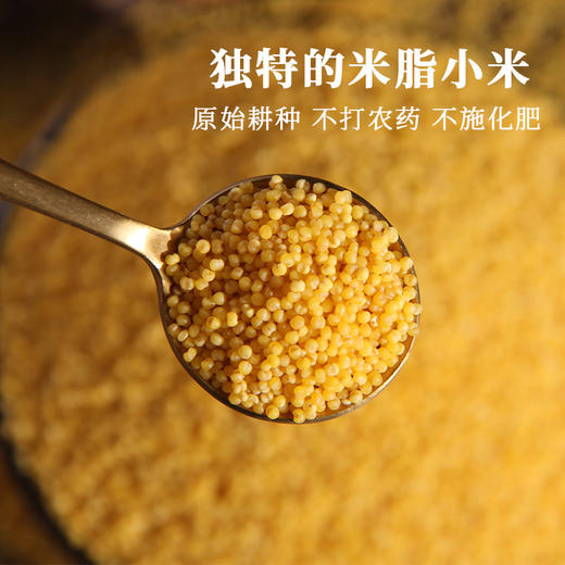 正宗陕北米脂新黄小米布袋装 香滑软糯 口感粘稠 来自陕北革命老区的馈赠 商品图4