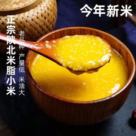 正宗陕北米脂新黄小米布袋装 香滑软糯 口感粘稠 来自陕北革命老区的馈赠