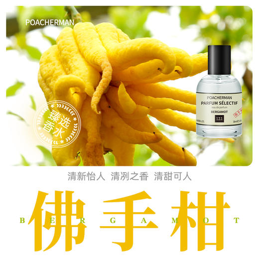 柏世曼佛手柑香水 蜜罗柑味清新柑橘调男女士中性香水清爽淡香氛 商品图0