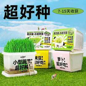 【好种好玩又好吃】水培发芽植物菜菜盒 儿童种植小盆裁生长现察花农幼儿园绿植小学生蔬菜盒