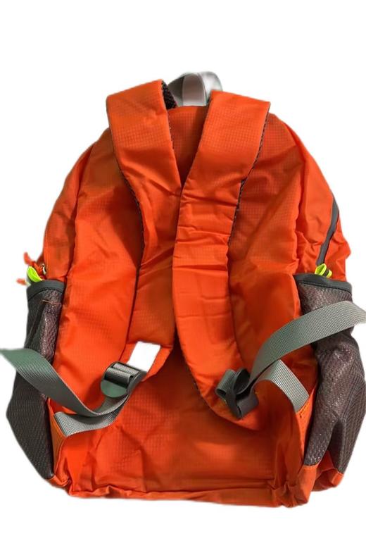 正心读书会  游学背包 商品图1