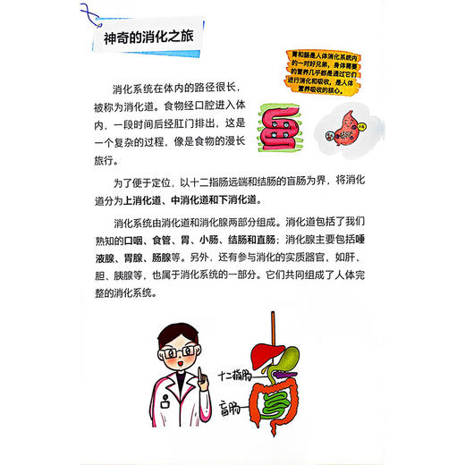 消化系统保卫战：护肠胃 养肝胆 主编 王娜 认识消化系统 症状识别 治疗处方 防病妙计 就医指导 9787117363259人民卫生出版社 商品图4