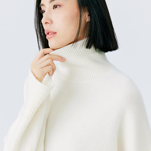 东黎 •  山羊绒女士秋冬高领羊绒衫 3366 商品图6