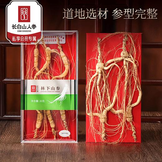 热销J【林下参亚克力装】长白山人参林下山参带林下参深山密林生长 商品图0