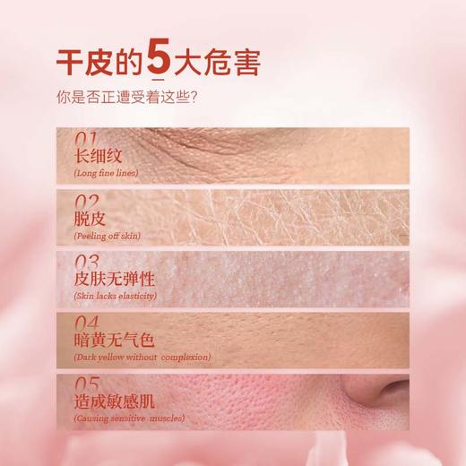 【微商城】ANU阿奴玫瑰油敷面霜水油同补抗皱紧致 商品图4