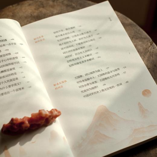 叶嘉莹说诗词之美+迦陵谈词+诗词大先生：叶嘉莹的诗教人生（三册套装） 商品图5