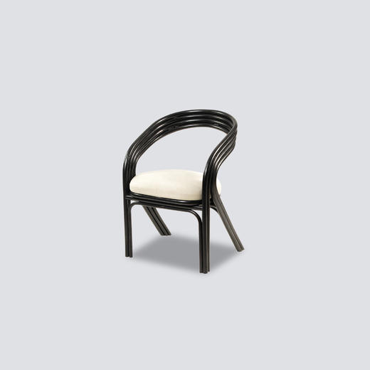 NS家居 nsfurniture进口餐椅NSDC-NW-2431051 Black 商品图0