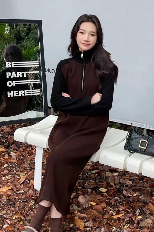 HAYES 撞色拉链立领长款加绒连衣裙 19772 商品图0