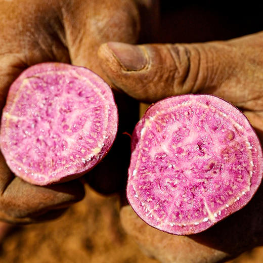 云南蜂蜜紫薯 番薯 香甜软糯 4斤彩箱装 商品图5