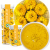 御华景宸有机皇菊 黄菊菊花茶花草茶瓶装富锶富黄酮 商品缩略图5