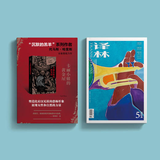 2025年《译林》杂志全年六期【赠精装布面笔记本1本（200页超大体量）】 商品图8