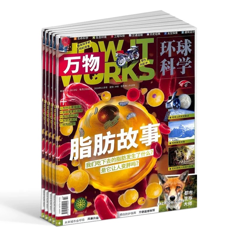 8~18岁适读 |《万物》（How it works中文版）杂志订阅 已更新至11月刊 2024年、2025年自选 社会科普百科