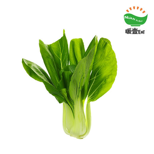 暖壹有机青菜 商品图0