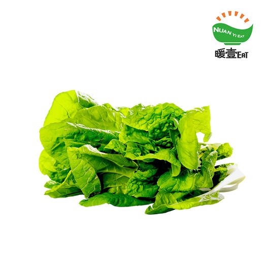 暖壹有机快菜 商品图0