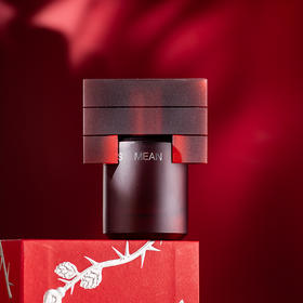 闻献 柔韧荆棘 Documents Mean 分装 【展现了柔韧的生命力，也不失刚烈的个性】