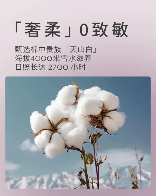 【无痕随心动】LOVEKINS超薄无胶芯纯棉裤型卫生巾/经期裤 2条/包 商品图5