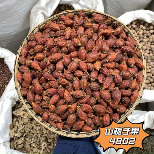 栀子 常用规格 山栀子切片  栀子个子  便于煎煮 商品图1