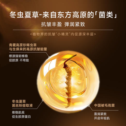 【微商城】ANU阿奴野奢虫草套装虫草面部护理套装 商品图3