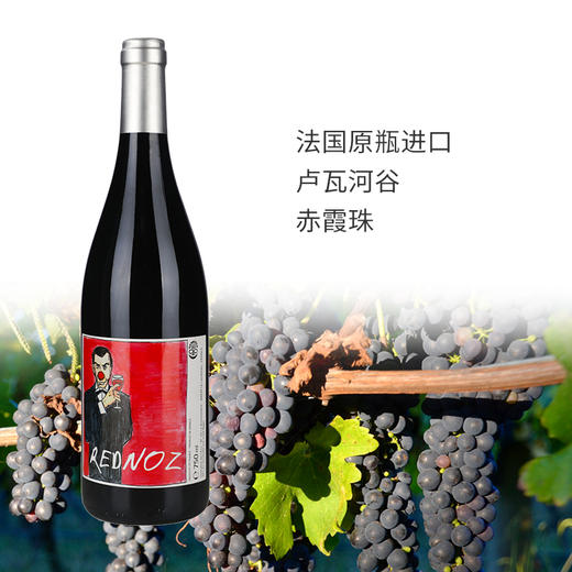爱古酒庄红鼻子赤霞珠红葡萄酒  2018 艺术酒标 法国自然酒 商品图2