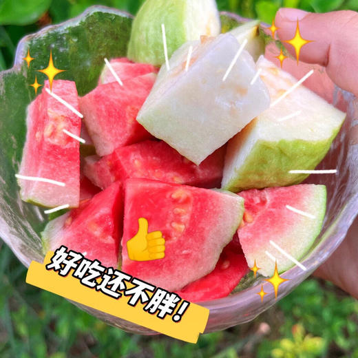 【黄金奶油芭乐】软糯香甜、香气迷人、口感类似榴莲中的猫山、可香可糯可甜 商品图7