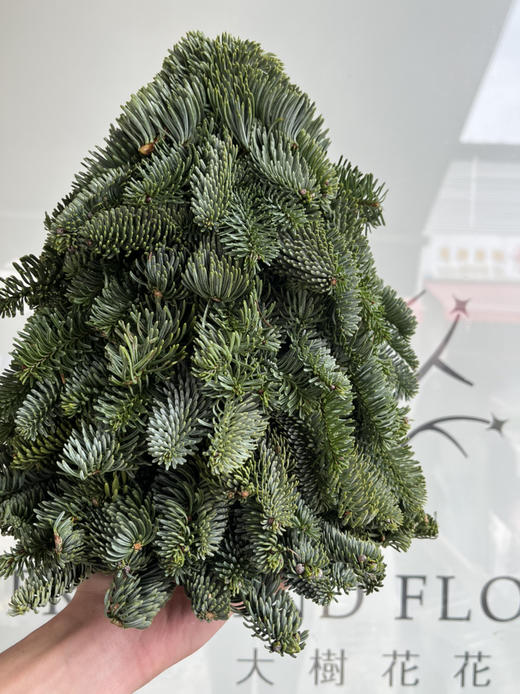 圣诞花材-【圣诞树】（30cm）*单独发货 商品图1
