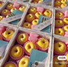木艮本冬恋苹果  | 水果 商品缩略图2