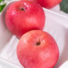 【厂商直发】陕西德力邦有机红富士苹果脆甜多汁新鲜包邮 商品缩略图4