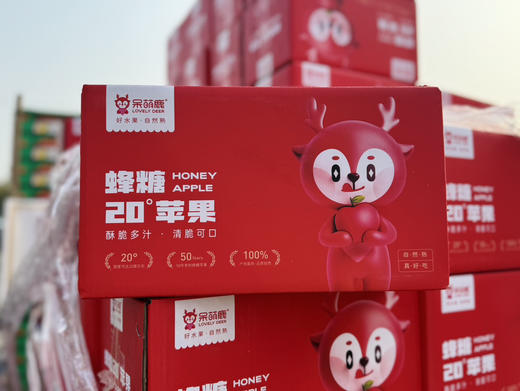 糖心苹果，甜度高，皮薄，脆甜，80-85果！5斤/箱 商品图1