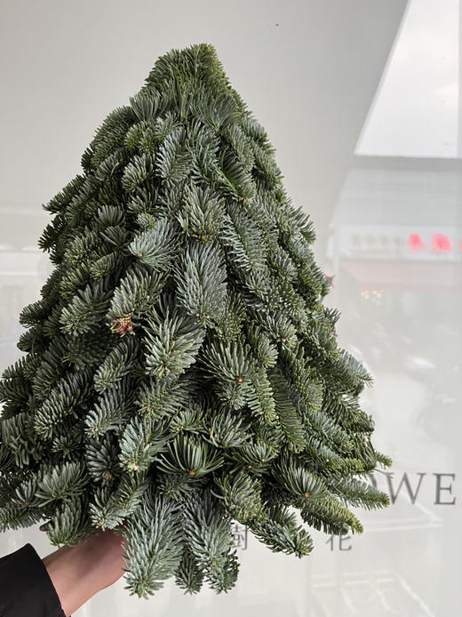 圣诞花材-【圣诞树】（40cm）*单独发货 商品图0