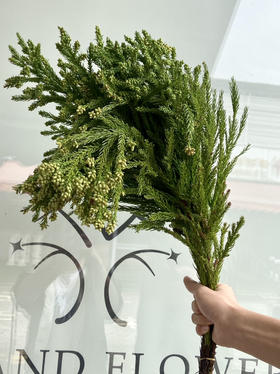 国产花材-【流沙果】