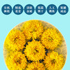 御华景宸有机皇菊 黄菊菊花茶花草茶瓶装富锶富黄酮 商品缩略图3