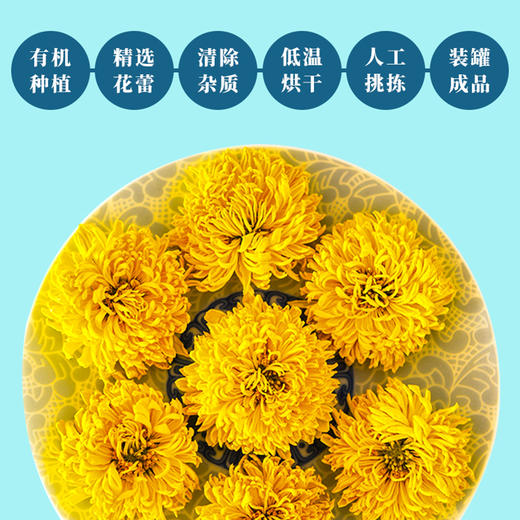 御华景宸有机皇菊 黄菊菊花茶花草茶瓶装富锶富黄酮 商品图3