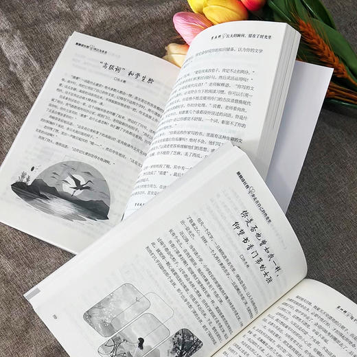 意林成长卷（全2册） 商品图8