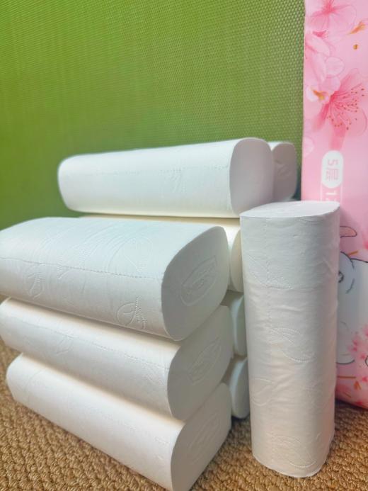 糗糗庄园-无芯卫生卷纸5层（140g*12卷/提） 商品图2