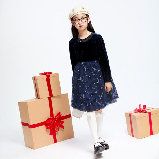 女童精致网纱丝绒裙冬季新款安奈儿童装实体店同款AG443852 商品图5