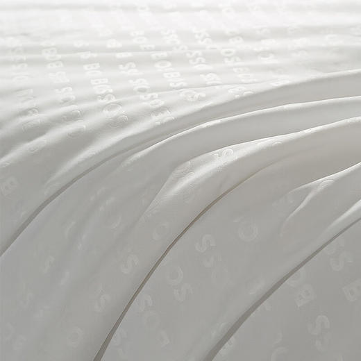 【分仓直发包邮】BOSS桑蚕丝抗菌纤维被HBCS-011 商品图3