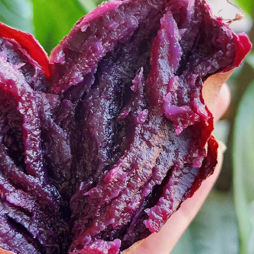 云南蜂蜜紫薯 番薯 香甜软糯 4斤彩箱装 商品图3