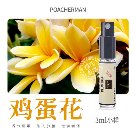 柏世曼鸡蛋花香水 缅栀花香调女士香水持久留香甜美少女淡雅香氛 商品图3