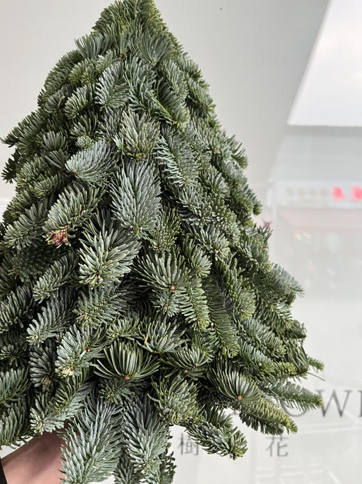 圣诞花材-【圣诞树】（40cm）*单独发货 商品图2